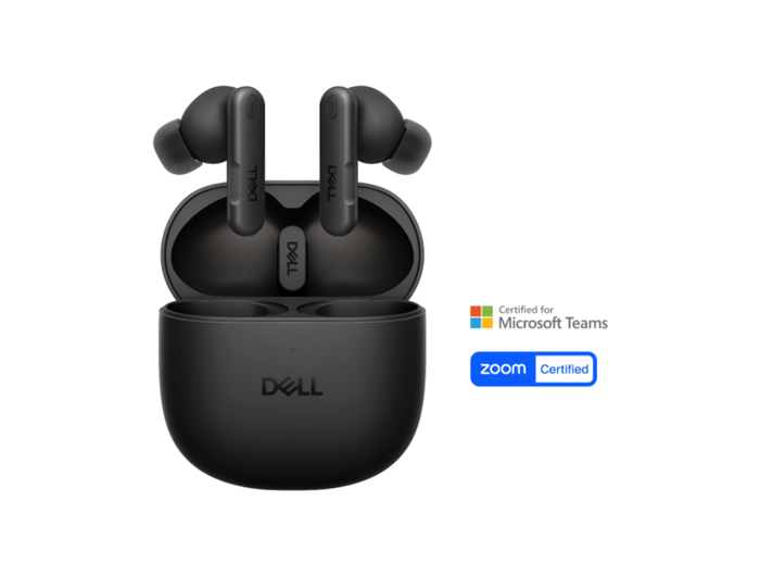 <h1><strong>Dell Pro Plus Earbuds (EB525)<br/></strong></h1><h4></h4>